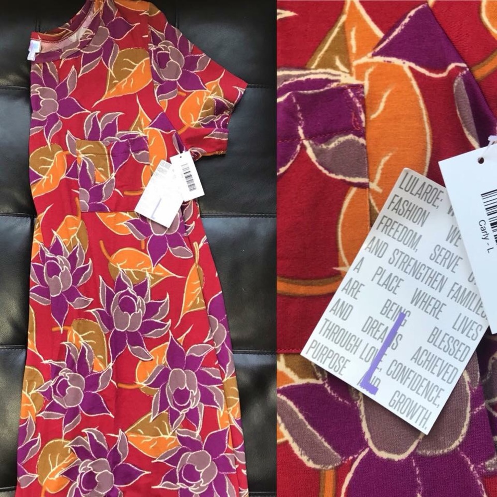 LulaRoe Carly L Multicolored Floral